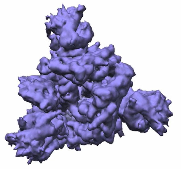 Struktura spike proteinu viru 2019-nCoV v kryogenním elektronovém mikroskopu, obr. D.Wrapp et al., Cryo-EM structure of the 2019-nCoV spike in the prefusion conformation, Science  19 Feb 2020: eabb2507, DOI: 10.1126/science.abb2507.