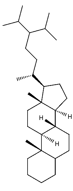 struktura 24-isopropylcholestanu
