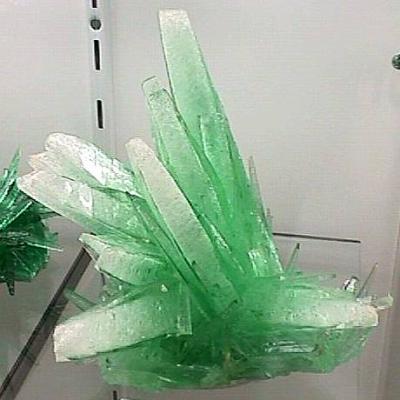 Krystaly dihydrogenfosforečnanu amonného (foto Florida State University).