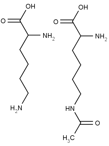 vlevo molekula lysinu, vpravo acetyllysinu