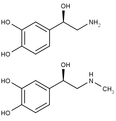 struktura katecholaminů noradrenalinu (nahoře) a adrenalinu (dole).