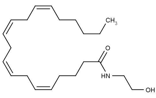 Chemická struktura anandamidu.
