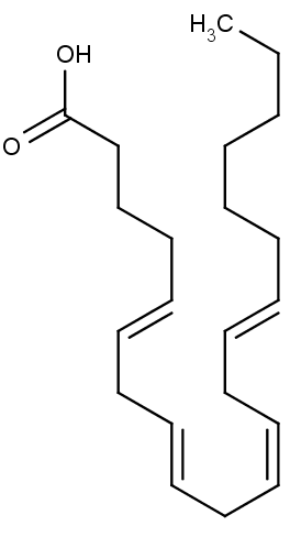 kyselina arachidonová, základ prostaglandinů.