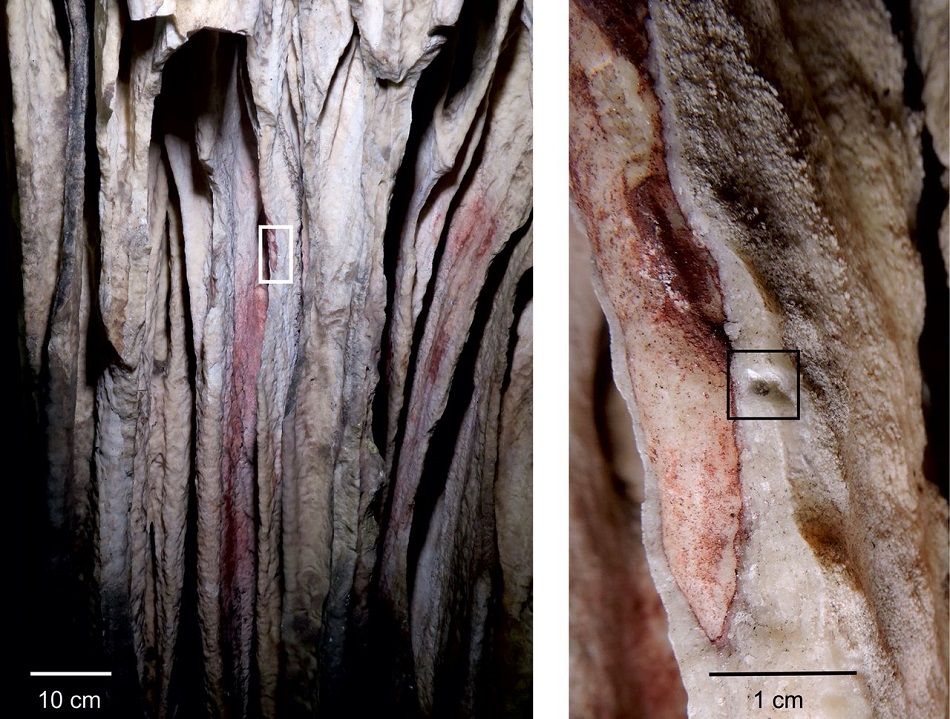 Nejméně zřetelná malba červeným pigmentem v jeskyni Ardales (D. L. Hoffmann et al., U-Th dating of carbonate crusts reveals Neandertal origin of Iberian cave art, Science  23 Feb 2018: Vol. 359, Issue 6378, pp. 912-915).