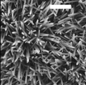 Nanotyčinkové pole z titaničitanu barnatého  zeshora, bílá úsečka v horní části obrázku je 10 mikrometrů dlouhá, Nature Communications 4, doi:10.1038/ncomms3682