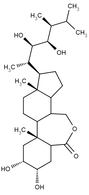 Struktura brasinolidu, prvního izolovaného brasinosteroidu.
