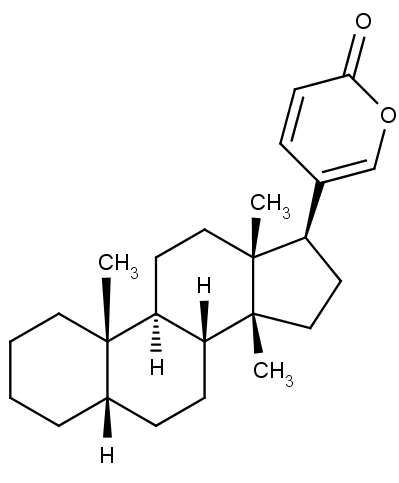 Chemická struktura steroidu bufadienolidu, klíčové součásti jedu ropuch.