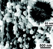 Snímek burelových paliček na povrchu nového elektrodového materiálu pořízený elektronovým mikroskopem (foto Pekingská univerzita)