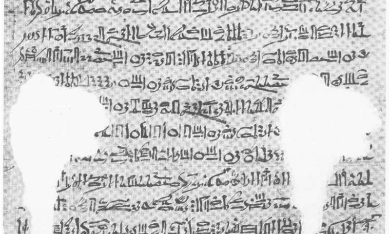 Část papyrus zvaného Káhirský kalendář (Cairo 86637, foto Lauri Jetsu.