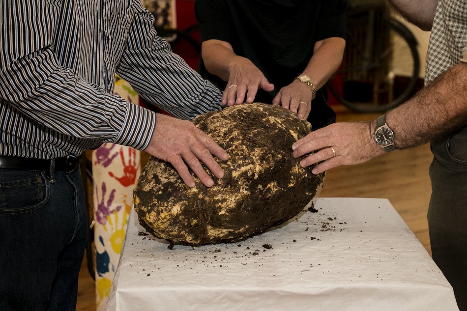 2.000 let stará hrouda másla z bažiny v severoirském hrabství Cavan (foto Cavan County Museum).