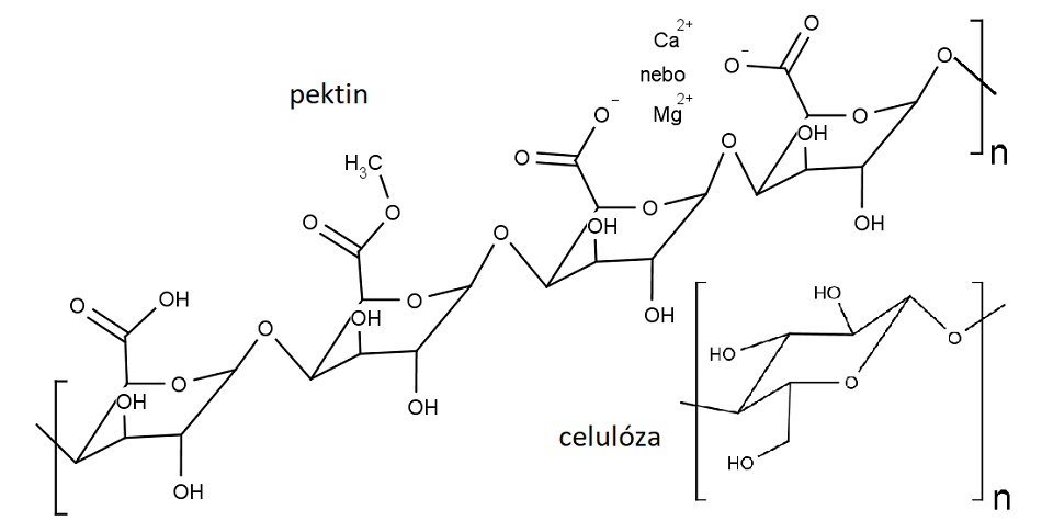 Nahoře chemická struktura pektinu, vpravo dole celulózy.