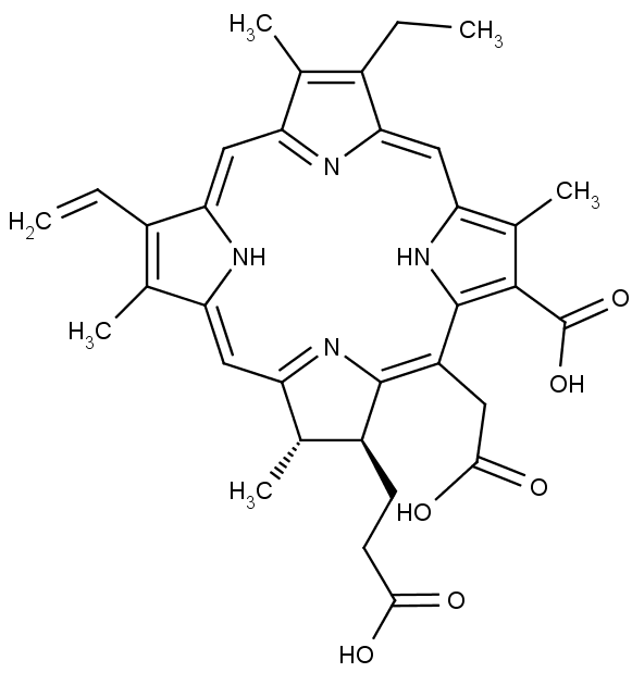 Chemická struktura porfyrinového barviva chlorinu e6.