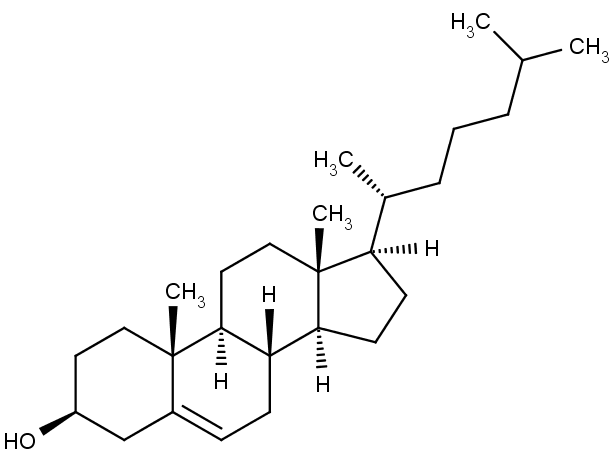 Chemická struktura cholesterolu. 