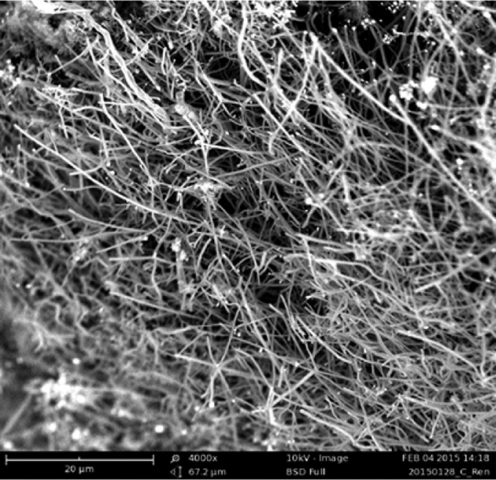 fotografie připravených uhlíkových vláken pořízená elektronovým mikroskopem, foto One-Pot Synthesis of Carbon Nanofibers from CO2 Jiawen Ren et al., Nano Lett., August 3, 2015, DOI: 10.1021/acs.nanolett.5b02427