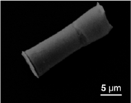 Snímek mikrotrubičky pořízený rastrovacím elektronovým mikroskopem (D.Vilela et al., Graphene-Based Microbots for Toxic Heavy Metal Removal and Recovery from Water, Nano Lett., 2016, 16 (4), pp 2860–2866, DOI: 10.1021/acs.nanolett.6b00768).