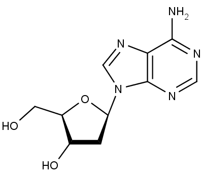 struktura 2'-deoxyadenosinu