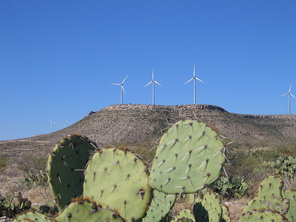 Pohled na část větrné elektrárny Dessert Sky Wind Farm v západní Texasu, která byla rovněž zahrnuta do studie. Dosahuje výkon 160,5 MW (foto  Pismo, Public domain, via Wikimedia Commons).