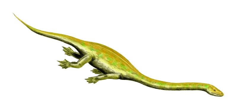 Umělecká rekonstrukce Dinocephalosaura od Nobua Tamury (CC BY 2.5,  via Wikimedia Commons).