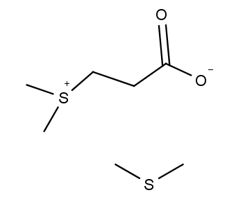struktura dimethylsulfopropionátu (nahoře) a dimethylsulfidu (dole)