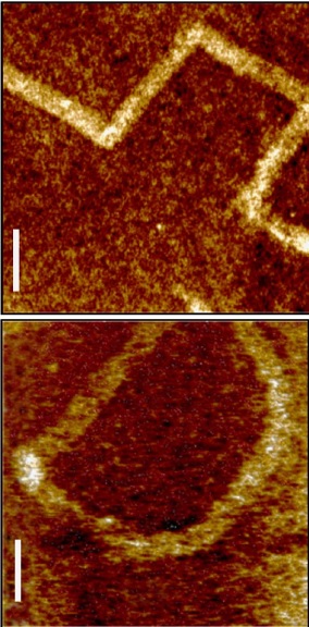 Vzory vytvořené pomocí pohybujících se nanočástic (Li, J. et al. Nanomotor lithography. Nat. Commun. 5:5026 doi: 10.1038/ncomms6026, 2014). Obr.byl pořízen pomocí mikroskopie atomárních sil. Bílá úsečka je 2 mikrometry dlouhá, rozdíl mezi nejtmavšími a nejsvětlejšími místy je 80 nm.