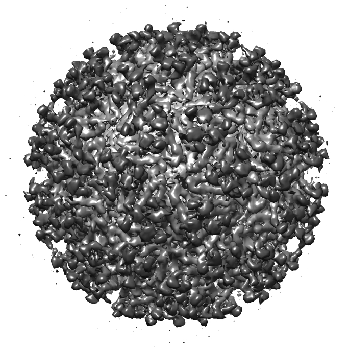 Evergladeský virus na snímku pořízeném kryoelektronovou mikroskopií (A2-33, CC BY-SA 3.0, https://creativecommons.org/licenses/by-sa/3.0, via Wikimedia Commons).
