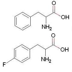Nahoře je strukturní vzorec fenylalaninu, dole p-fluorofenylalaninu