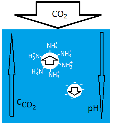 Schematické znázornění čištění vody pomocí oxidu uhličitého.