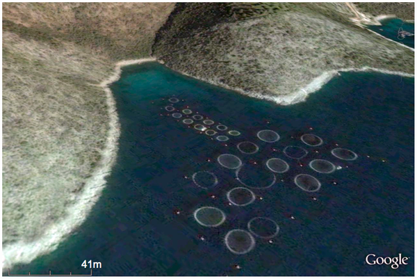 rybí sádky u pobřeží Řecka na snímku Google Earth