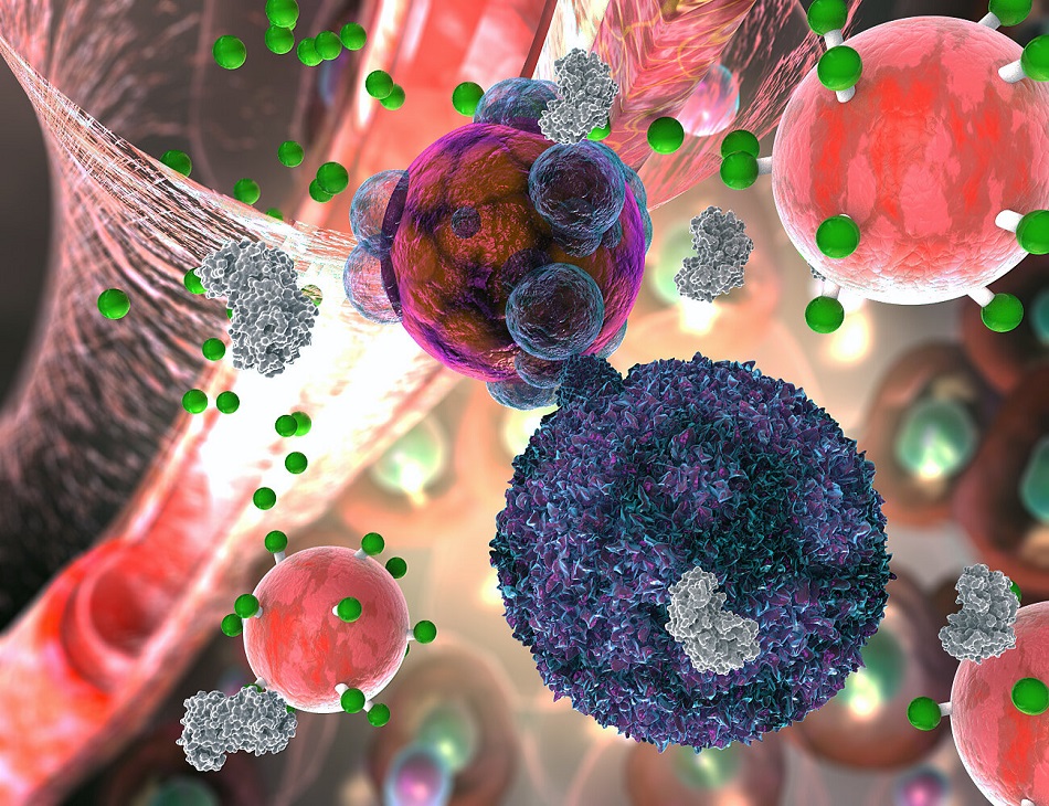 Fialový T lymfocyt napadá tmavě červenou buňku transplantovaného orgánu. Šedivý Gramzym B zároveň uvolňuje fluorescenční jasně zelené barvivo z detekční světle červené nanočástice vpravo nahoře. Obrázek v nepravých barvách, Georgia Tech/EllaMaru Studio, all rights GT.