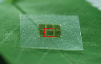 Elektronické obvody z arsenidu gallitého GaAs na pružné biodegradabilní podložce z nanocelulózy,  CC BY 4.0, https://creativecommons.org/licenses/by/4.0/deed.en, via Wikimedia Commons, Jung, Y.H. et al. High-performance green flexible electronics based on biodegradable cellulose nanofibril paper. Nat. Commun. 6:7170 doi: 10.1038/ncomms8170 (2015).