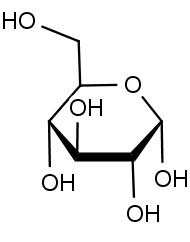 Chemická struktura sacharidu glukozy v Haworthově projekci.