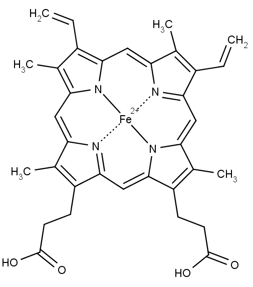 Chemická struktura hemu.