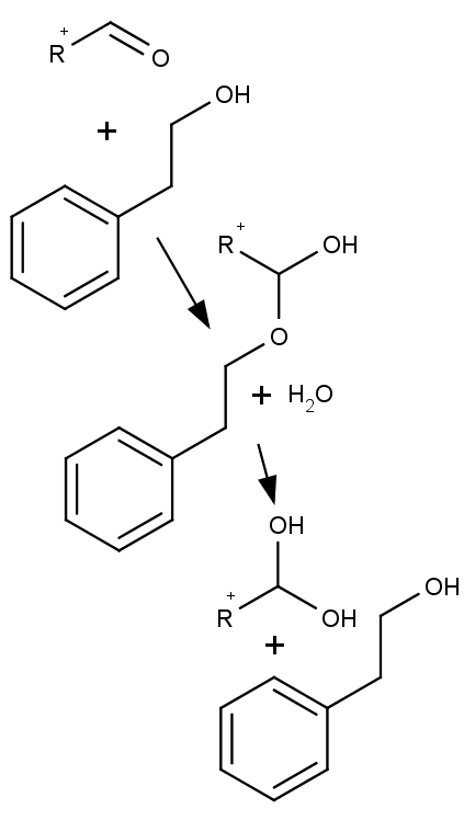vznik a hydrolýza poloacetalu pro 2-fenylethanol