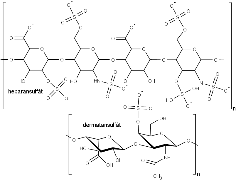 Chemická struktura polymerů heparansulfát (angl.heparan sulfate) a dermatansulfát (angl. dermatan sulfate).