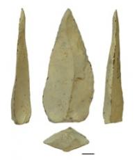 500.000 let staré hroty oštěpů z naleziště Kathu Pan 1. Úsečka v dolní části obrázku je dlouhá 1 cm (foto Jayne Wilkins).