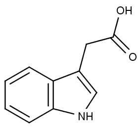 Kyselina indol-3-octová, nejvýznamnější přírodní auxin