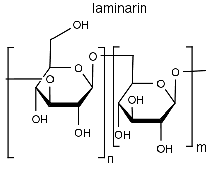 Chemická struktura laminarinu, zásobního cukru chaluh.