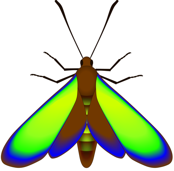 McNamarova rekonstrukce barev fosilního motýla (obr.PLoS Biol 9(11))