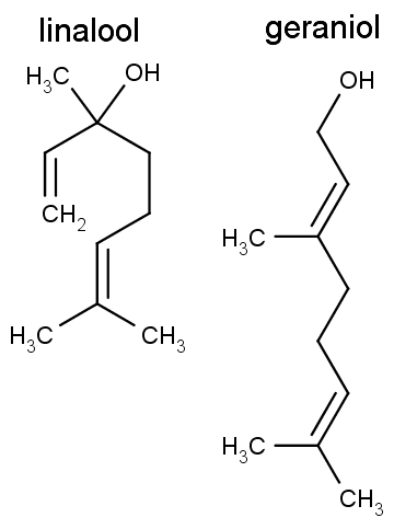 Chemická struktura linaloolu a geraniolu.