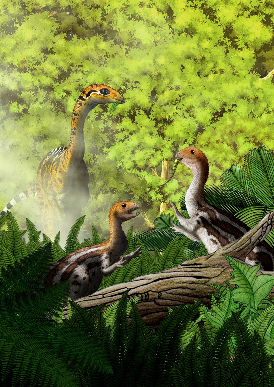 Umělecká rekonstrukce dinosaurů Limusaurus inextricabilis v jejich prostředí (obr. Yu Chen).