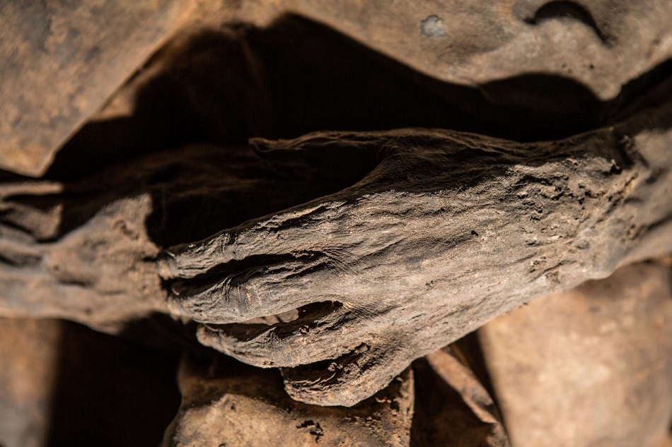 Detail mumifikovaných ostatků z litevské krypty, ze kterých vědci získali vzorky viru neštovic, foto Kiril Čachovskij.