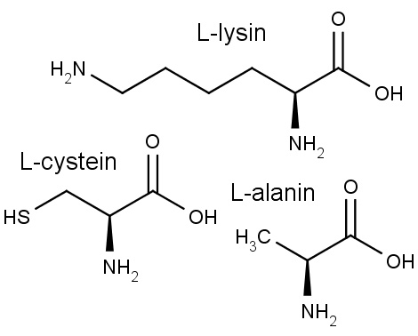 Chemické struktury aminokyselin L-lysinu, L-cysteinu a L-alaninu, které stáčejí rovinu polarizovaného světla doleva.