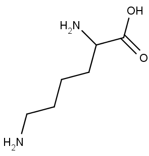 Struktura aminokyseliny lysinu