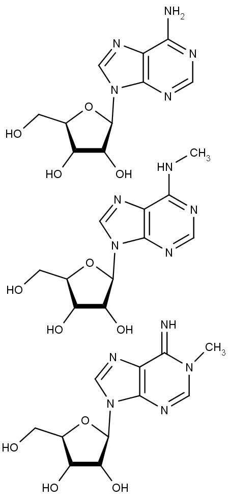Seshora dolů po řadě struktura adenosinu, N6-methyladenosinu a N1-methyladenosinu.
