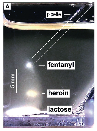 Magnetická levitační analýza fentanylu, heroinu a laktózy (angl.lactose), foto Ch.K.Abrahamsson et al., Angew. Chem. Int. Ed. 2020, 59, 874 – 881.