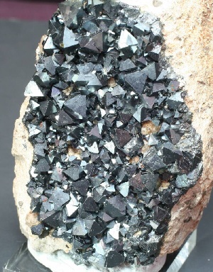 Minerál magnetit z bolivijského Cerro Huanaquino. Největší krystaly měří přibližně půl centimetru.