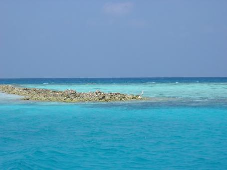 maledivské pobřeží