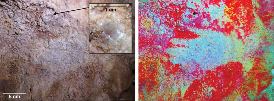 Malba podle lidské ruky jako šablony v jeskyni Maltrevieso (D. L. Hoffmann et al., U-Th dating of carbonate crusts reveals Neandertal origin of Iberian cave art, Science  23 Feb 2018: Vol. 359, Issue 6378, pp. 912-915).