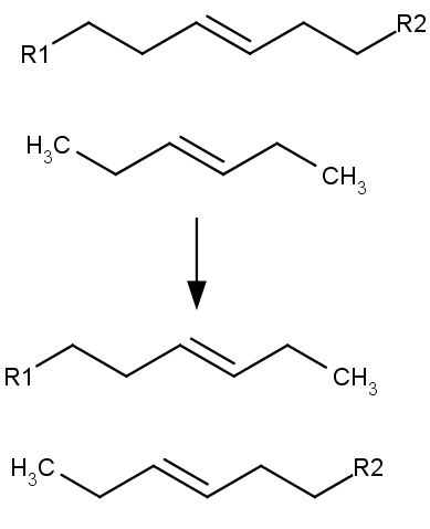 Schematické znázornění průběhu metateze - vzájemné záměny částí dvou organických molekul.