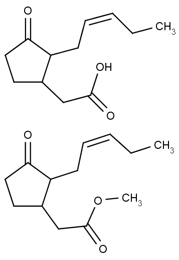 Nahoře chemická struktura jasmonové kyseliny, dole jejího methylesteru.